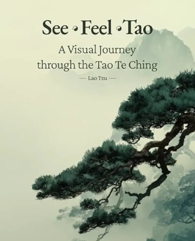 See · Feel · Tao book cover